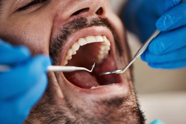 Best Emergency Cosmetic Dentistry in Forest Heights, TX